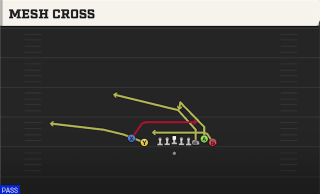 Mesh Cross play art