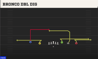 Bronco Dbl Dig play art