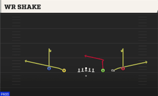 WR Shake play art