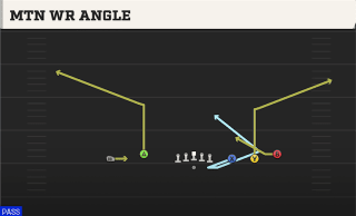 Mtn WR Angle play art