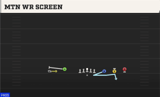 Mtn WR Screen play art