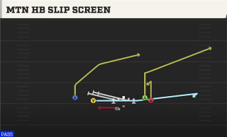 Mtn HB Slip Screen play art