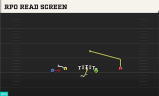 RPO Read Screen play art