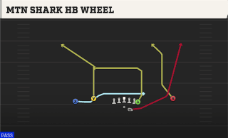 Mtn Shark HB Wheel play art