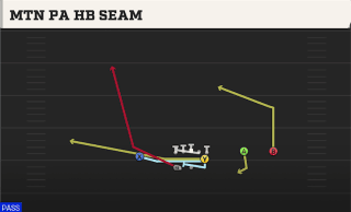 Mtn PA HB Seam play art