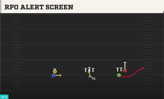 RPO Alert Screen play art