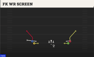 Fk WR Screen play art