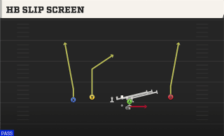 HB Slip Screen play art