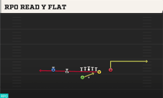 RPO Read Y Flat play art