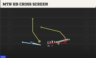 Mtn HB Cross Screen play art