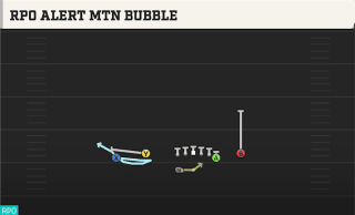 RPO Alert Mtn Bubble play art