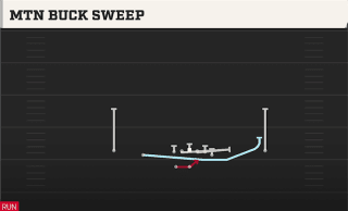 Mtn Buck Sweep play art