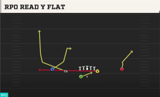 RPO Read Y Flat play art