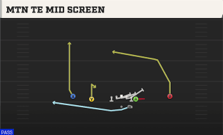 Mtn TE Mid Screen play art