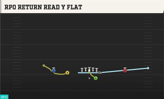 RPO Return Read Y Flat play art