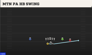 Mtn PA HB Swing play art