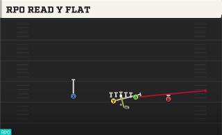 RPO Read Y Flat play art