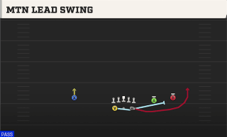 Mtn Lead Swing play art