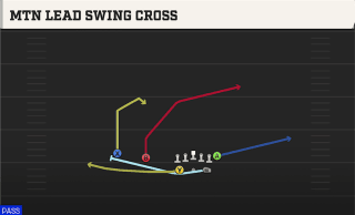 Mtn Lead Swing Cross play art
