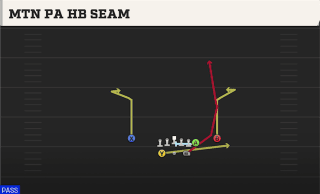 Mtn PA HB Seam play art