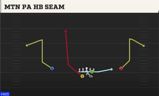 Mtn PA HB Seam play art