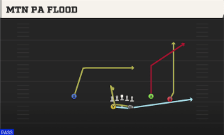 Mtn PA Flood play art
