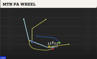Mtn PA Wheel play art