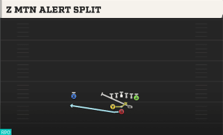 Z Mtn Alert Split play art