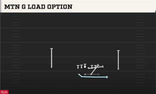 Mtn G Load Option play art