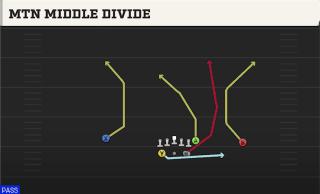 Mtn Middle Divide play art