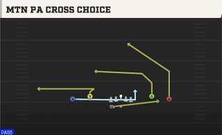 Mtn PA Cross Choice play art