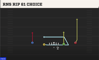 Rns Rip 61 Choice play art