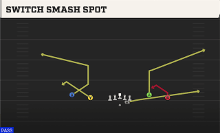 Switch Smash Spot play art