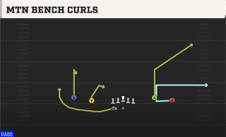Mtn Bench Curls play art