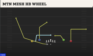 Mtn Mesh HB Wheel play art