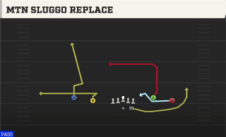 Mtn Sluggo Replace play art