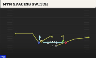 Mtn Spacing Switch play art