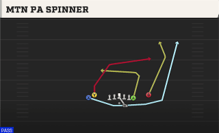 Mtn PA Spinner play art