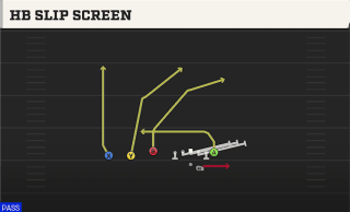 HB Slip Screen play art