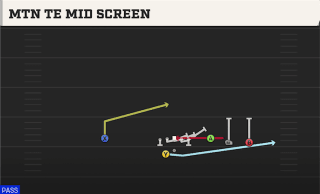 Mtn TE Mid Screen play art