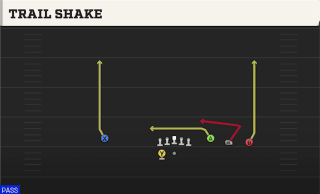 Trail Shake play art