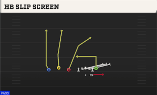 HB Slip Screen play art