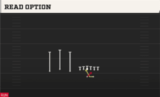 Read Option play art