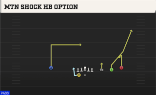 Mtn Shock HB Option play art