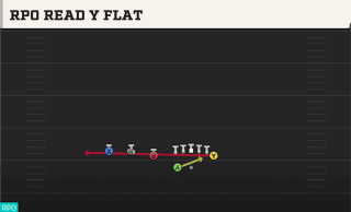 RPO Read Y Flat play art