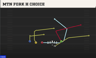 Mtn Fork H Choice play art