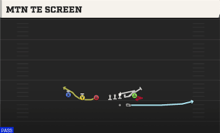 Mtn TE Screen play art
