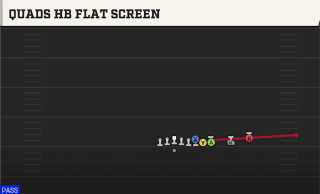 Quads HB Flat Screen play art
