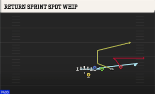 Return Sprint Spot Whip play art