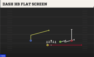 Dash HB Flat Screen play art